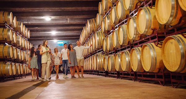Alicante Enoturismo y Catas de Vino